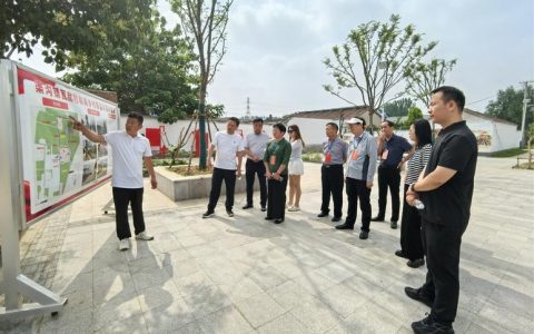 荆州观察：以实干为笔，化蓝图为实景