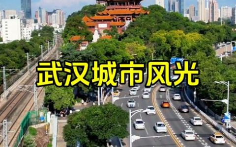 国家所需，武汉能！