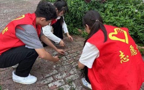 熊家湾社区：小小志愿者学雷锋