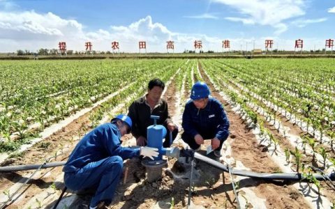 熊口镇新沟村：政策精准滴灌 科技助农春耕