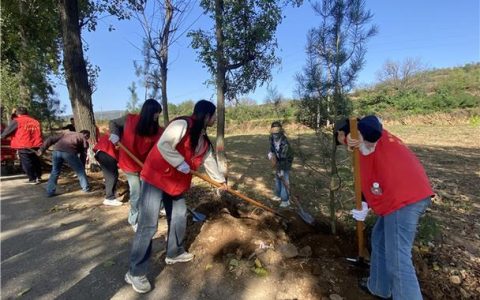 熊口管理区：植绿护绿 美化家园