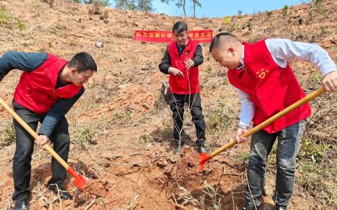熊口镇：新春植绿启新程