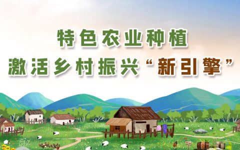 抓紧抓实“三农”工作　加快推进乡村全面振兴