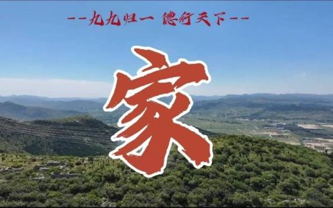 桑梓情深　共话发展