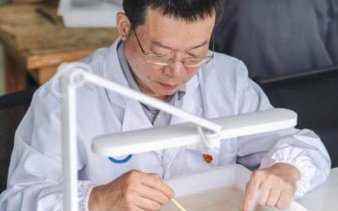 全国人大代表、荆州文物保护中心主任方北松——守护简牍文脉 助力荆州文旅品牌建设