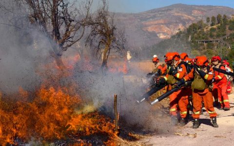 500套“硬核装备”发往森林防灭火一线