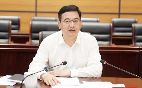 盛阅春赴新洲区调研并召开座谈会：坚定信心、发挥优势、开拓创新，奋力谱写高质量发展新篇章