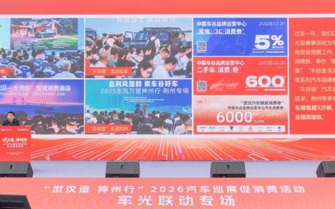 “车谷”如何联动“光谷”？两会代表传回“武汉声音”