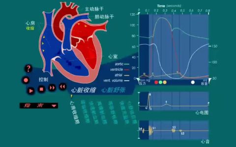 脉搏与心脏同频 老区与时代共振