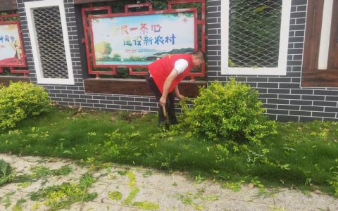 “清洁家园”展新颜  崇阳精准整治节后环境