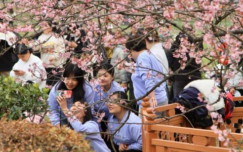 东湖樱花园迎客流高峰，多部门温情护航游客赏樱