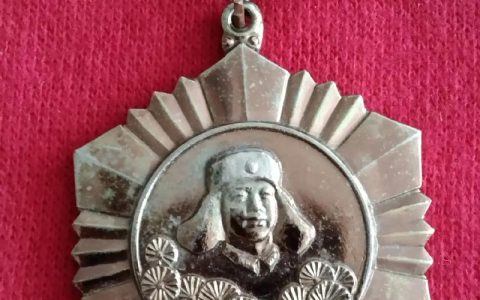 致敬榜样！王峰获评省级岗位学雷锋标兵