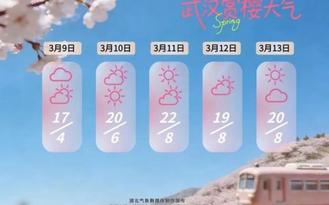 2026武汉樱花花期精准预报发布，全城“水陆空”立体赏樱盛宴开启