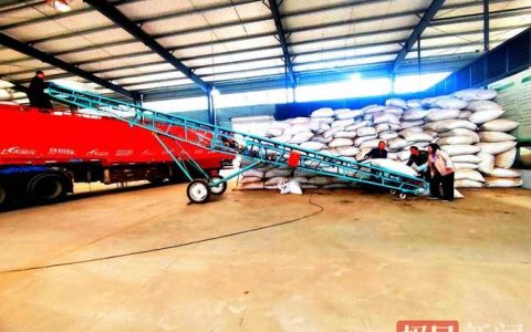 实干开新局 奋战开门红 | 竹山竹坪： 28吨大宗茶出山出海