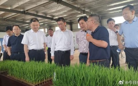 胡志莉调研高标准农田与灌区项目协同等工作