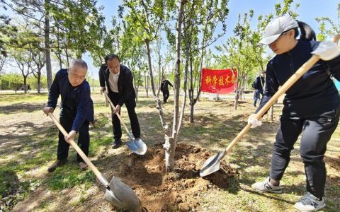 春潮涌动添新绿 各地义务植树忙
