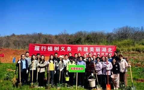 共筑同心林 共绘同心圆 市委统战部开展主题植树活动