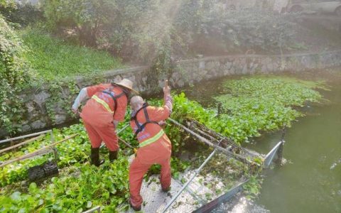 浩口镇启动河渠水草集中打捞清理专项行动