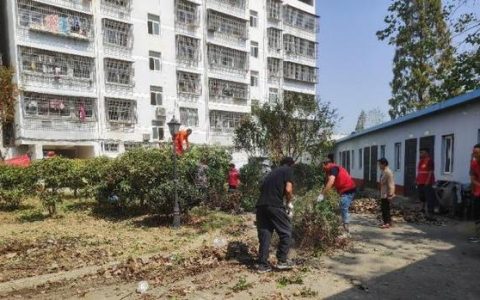 积玉口镇开展“全民洁城”行动