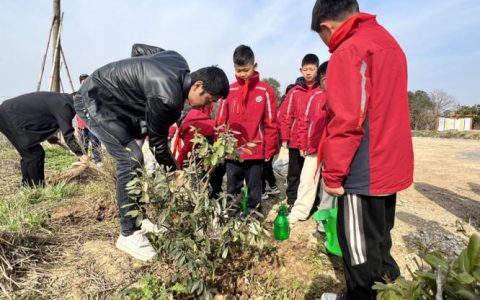 积玉口镇开展义务植树活动