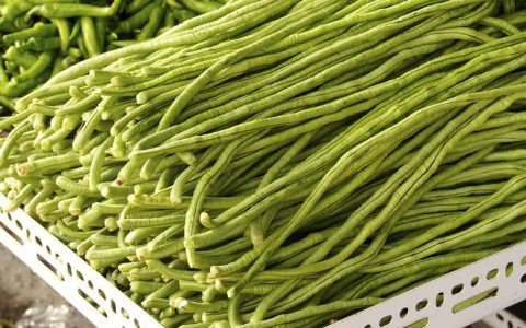 德水软木：“绿色智造”开拓国际市场