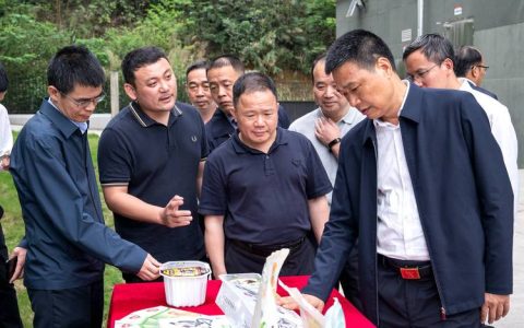 市领导调研文化产业工作