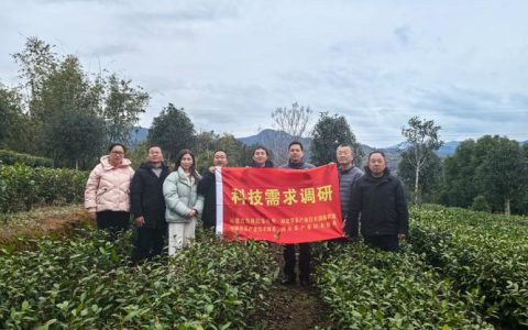 纪道清调研佛子山生态茶园建设推进情况时强调 高标准推进生态茶园建设 全力加快茶文旅深度融合