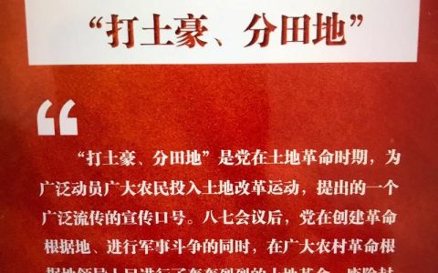 红安：雷霆出击，斩断伸向农田“命脉”的黑手