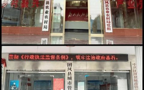 团风扎实推进《行政执法监督条例》学习贯彻走深走实