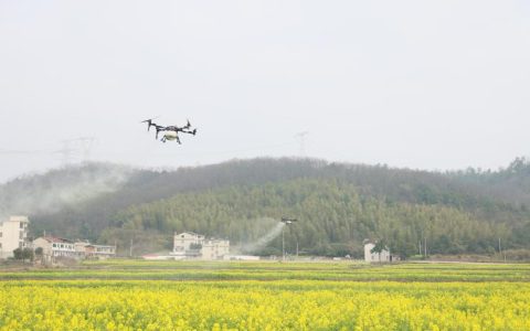 咸安区召开油菜“一促四防”现场会 农技指导护航油菜稳产提质