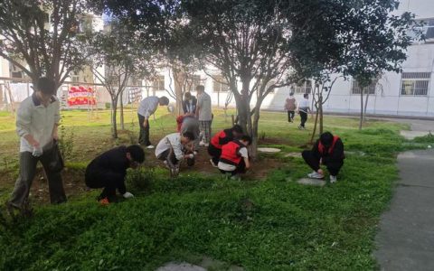 新材料与绿色化工学院开展“居家做小事 线上传温暖”学雷锋活动