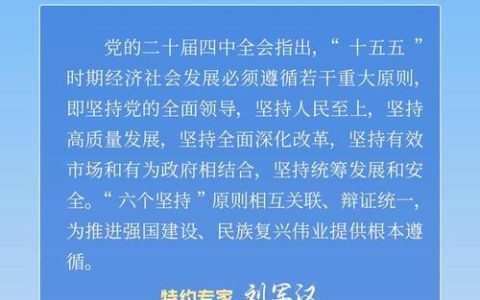 【中国新闻网】（全国两会）问道十五五：环境保护与能源安全，中国如何平衡？