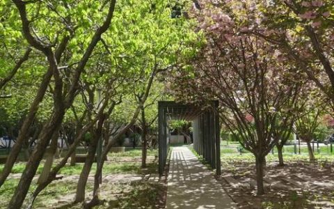 春日，花开校园（壹）