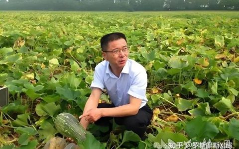 熊征宇会见交通银行行长张宝江一行