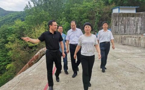 胡志莉调研包保重点建设项目和服务企业