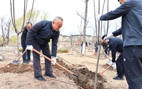 随州市领导参加义务植树活动