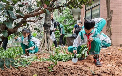 市田家炳实验小学东校区开展“小手植新绿·童心护家园”植树节主题实践活动