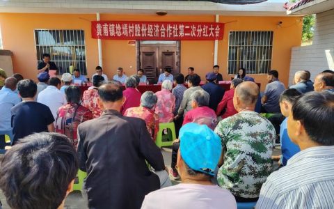 皂市镇多点发力持续壮大村级集体经济