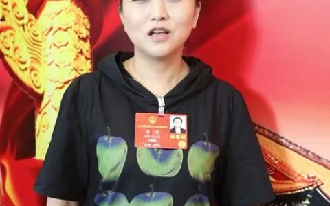 全国人大代表李莉带着群众期盼参加全国两会  传递黄石声音　不负乡亲重托