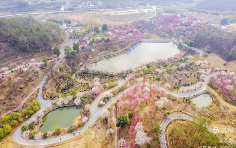 罗田县燕窝湾村燕儿谷梅花盛开