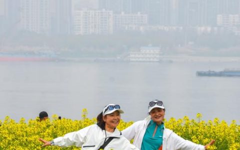 赏油菜花，武汉正当时