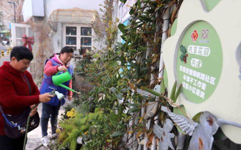 植绿便民双联动 共享花园添新颜