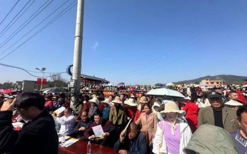 通山县大路乡杨狮坑村筹备油菜花节活动