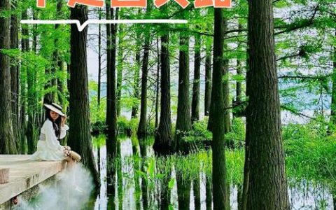 武汉人跨越3000公里在盐碱地种出海棠林，阿拉山口“武汉树”迎春吐绿