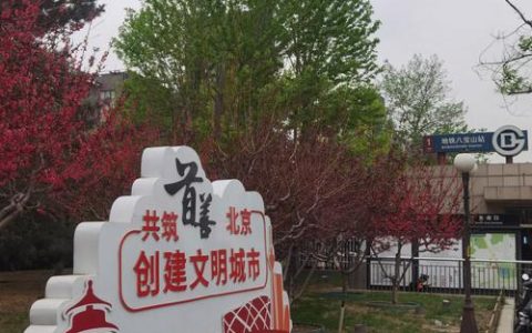 城市主干道为古树“让路” 市民“献上诚挚敬意”