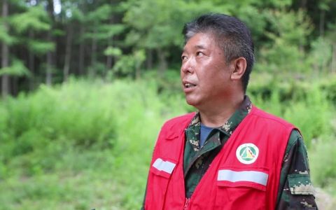 守青山常绿 让家园更美 ——聚焦身边的最美林业工作者