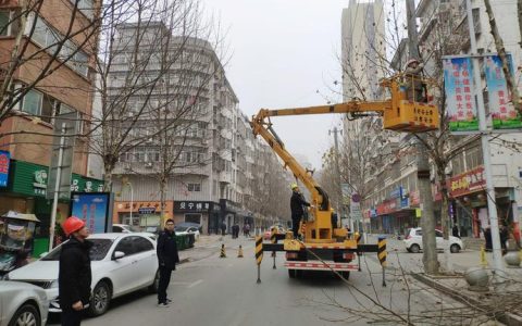 周矶管理区红旗社区：春季修剪梧桐树 焕新辖区添活力