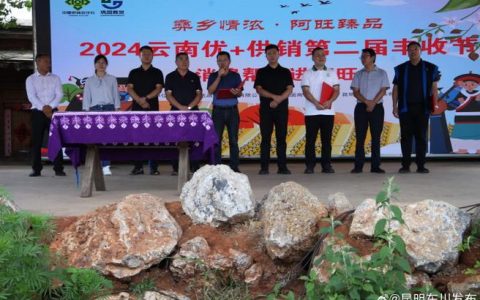 周矶街道：试种推广新品种助农增收