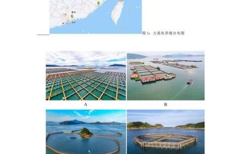 黄石力争三年“养”出50亿鳜鱼产业