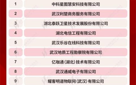 湖北大二互科技争取首季产值创新高